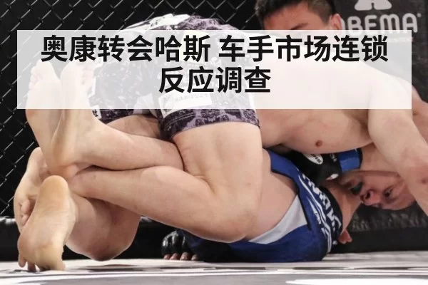 奥康转会哈斯 车手市场连锁反应调查